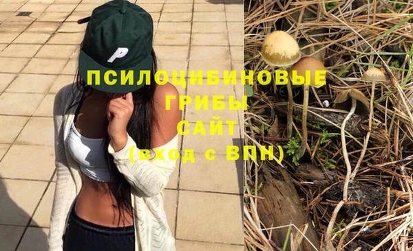 мет Абинск