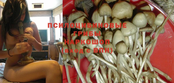 мет Абинск