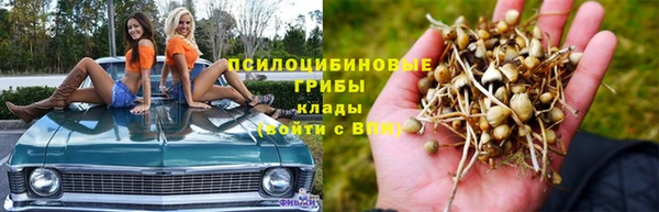 соль ск Пересвет