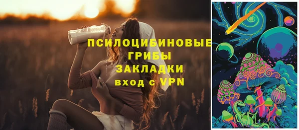 марки lsd Абаза