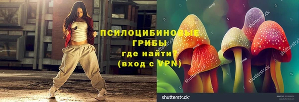 марки lsd Абаза