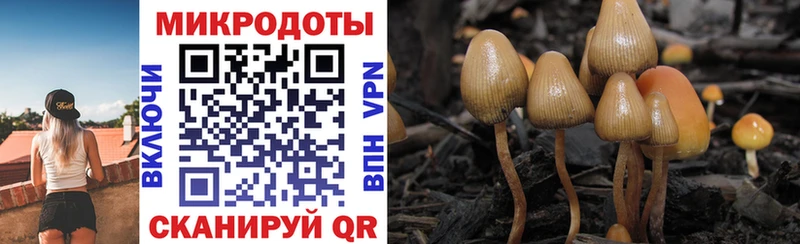 hydra ссылки  Симферополь  Псилоцибиновые грибы Psilocybine cubensis 